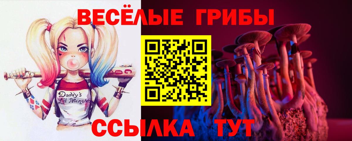 Галлюциногенные грибы прущие грибы Спасск-Дальний